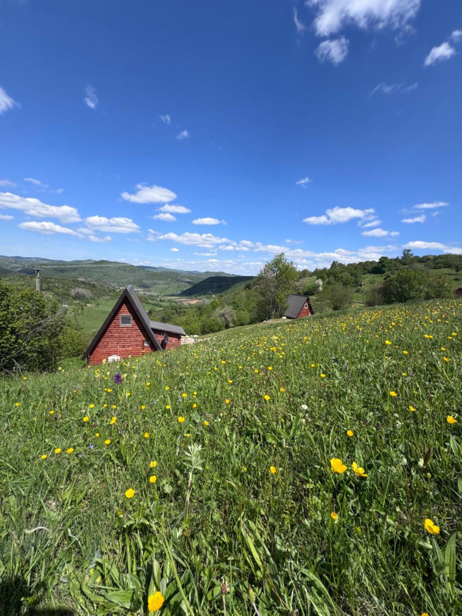 Uvacki Raj Villa Radijevici Kültér fotó